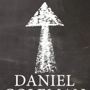 Portada del libro Liderazgo. El poder de la inteligencia emocional de Daniel Goleman